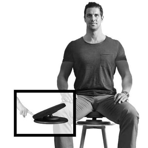 Swedish Posture Balance Core Trainer